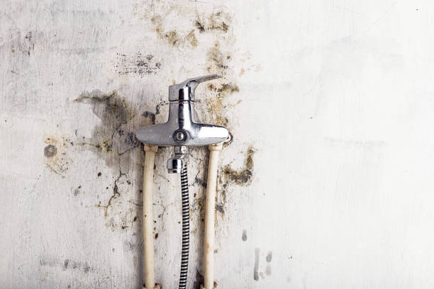 Best Mold Testing and Inspection Services in Adairsville, GA