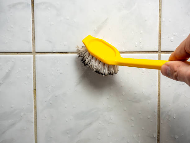 Best Industrial Mold Remediation in Adairsville, GA