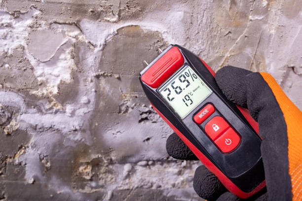 Best Mold Remediation for Specific Building Types in Adairsville, GA